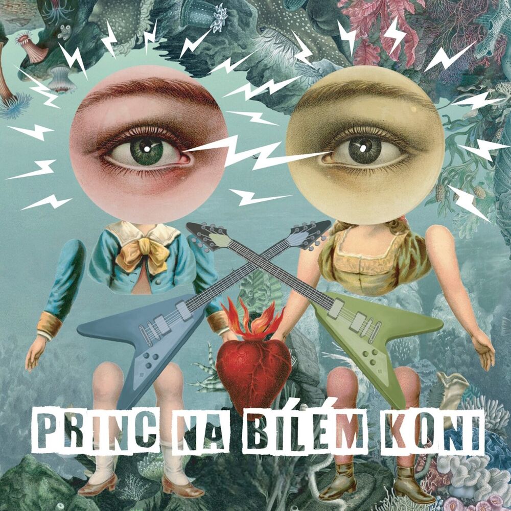 Picture of Princ na bílém koni