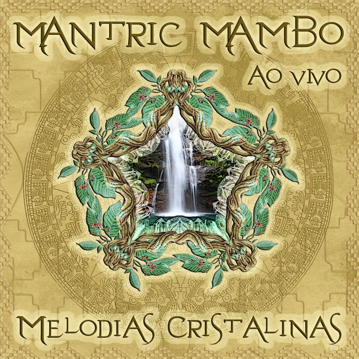 Album cover of Seguindo com Fé