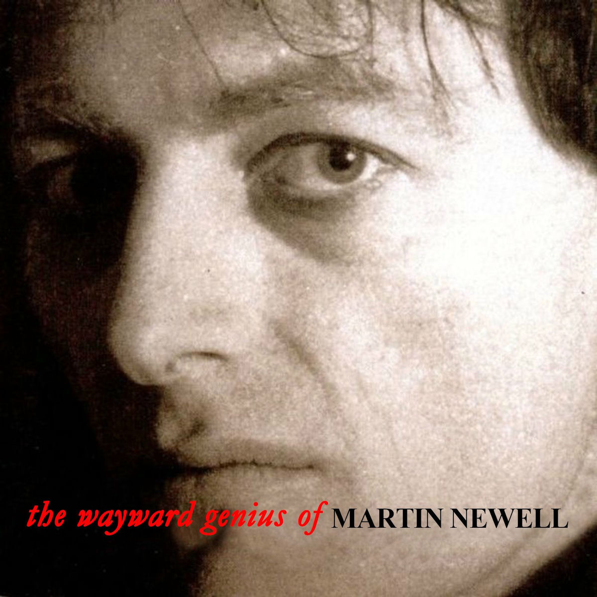 Album cover of The Wayward Genius Of Martin Newell