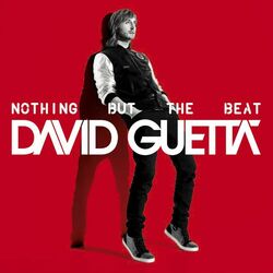Cover of Nothing but the Beat