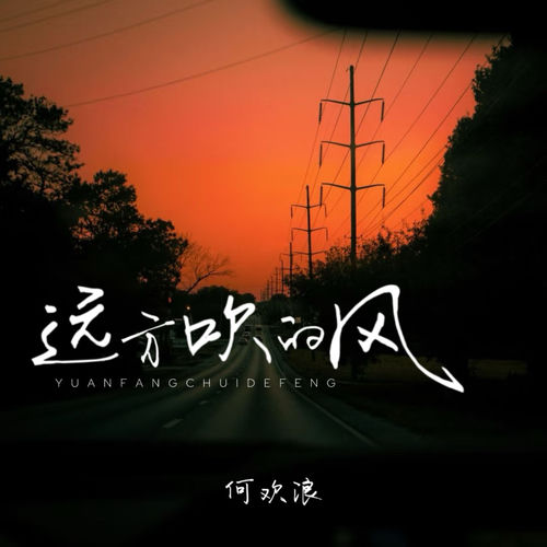 远方吹的风