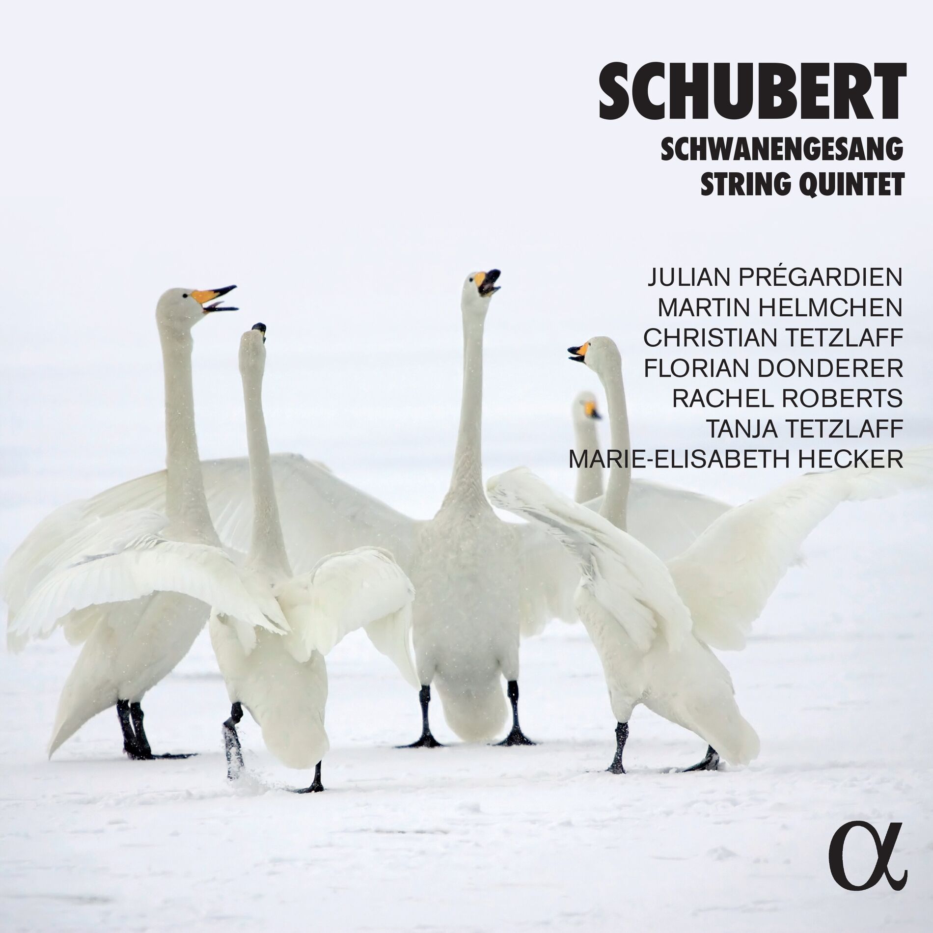 Album cover of Schubert: Schwanengesang & String Quintet