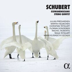 Cover of Schubert: Schwanengesang & String Quintet