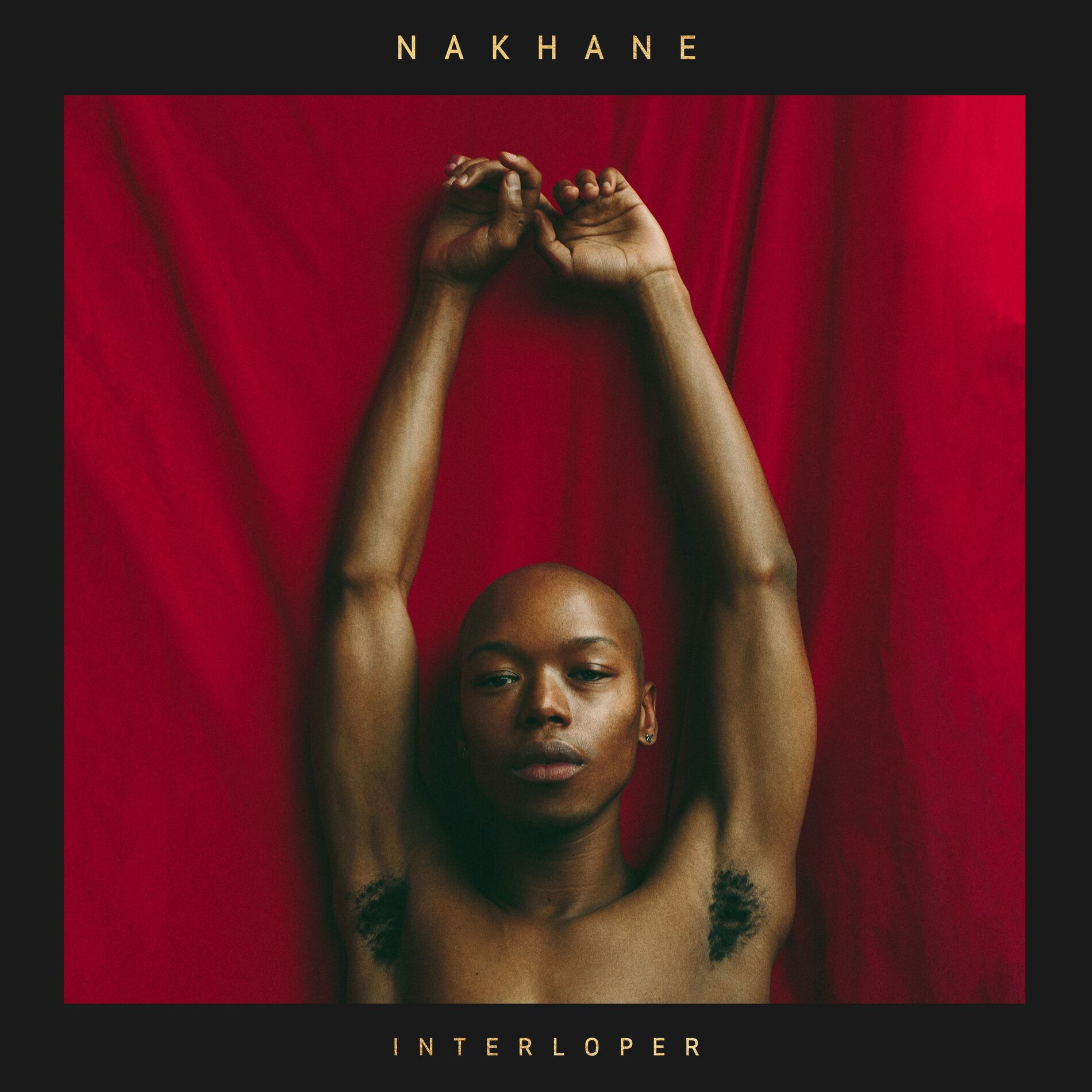 Album cover of Interloper