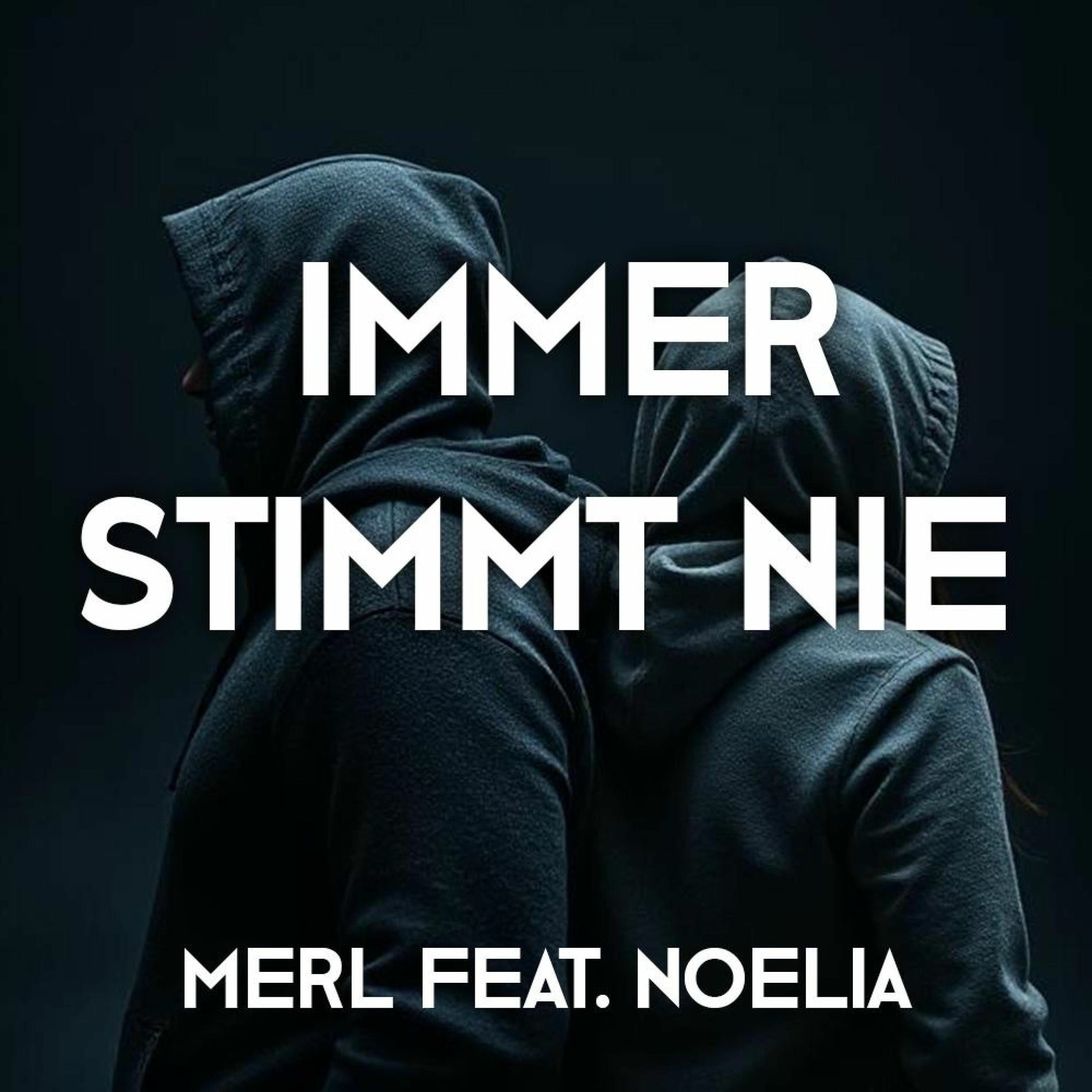 Album cover of Immer Stimmt Nie (feat. Noelia)