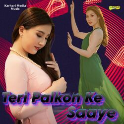 Cover of Teri Palkon Ke Saaye