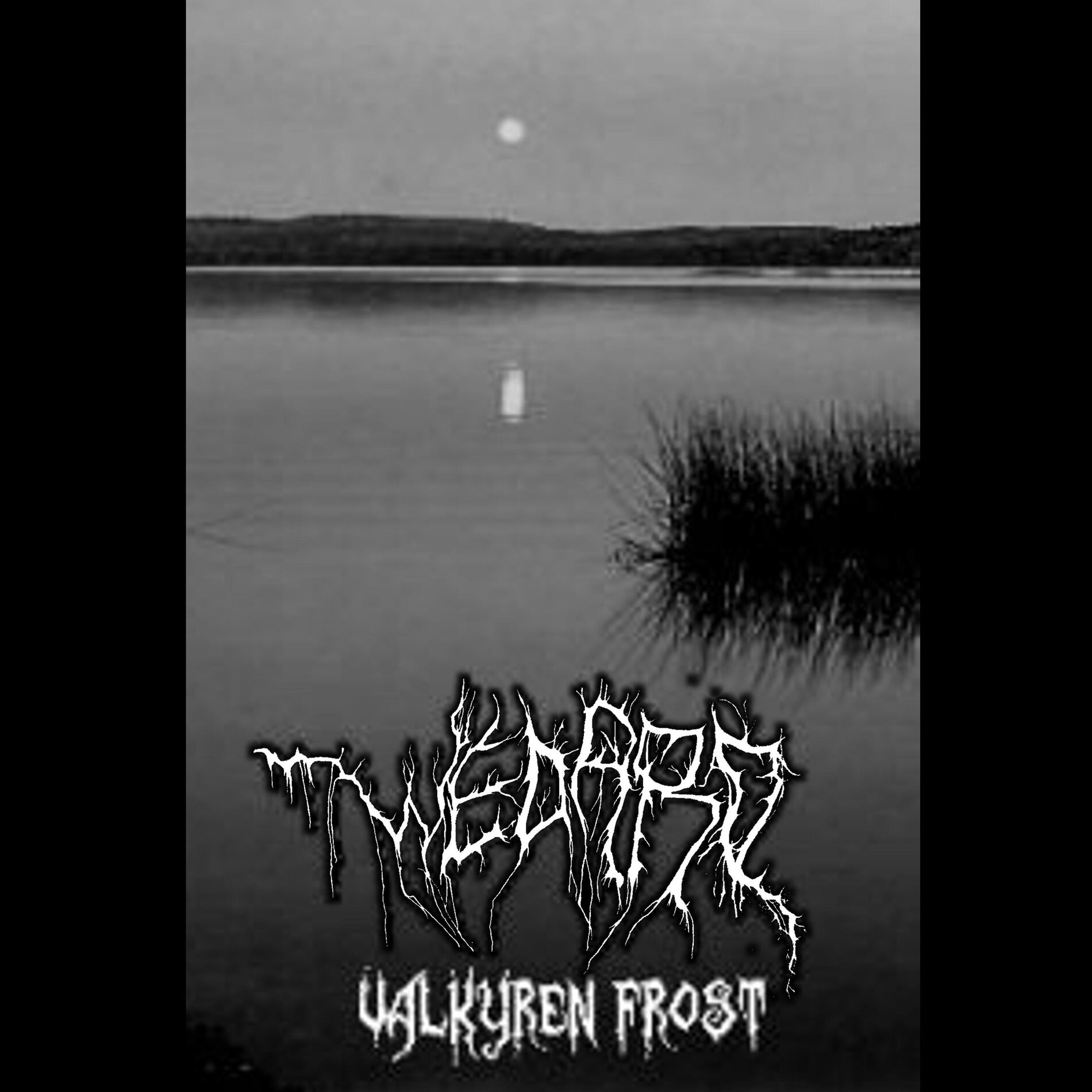Album cover of Valkyren Frost