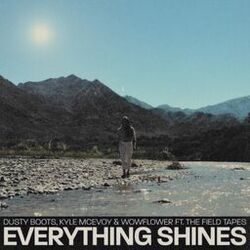 Cover of Everything Shines