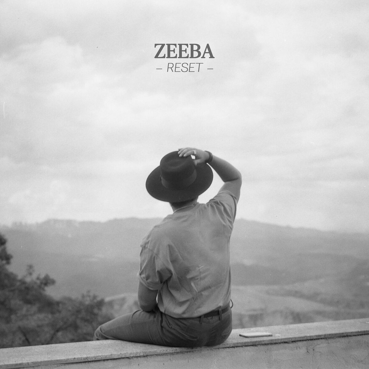 Album cover of Zeeba - Reset
