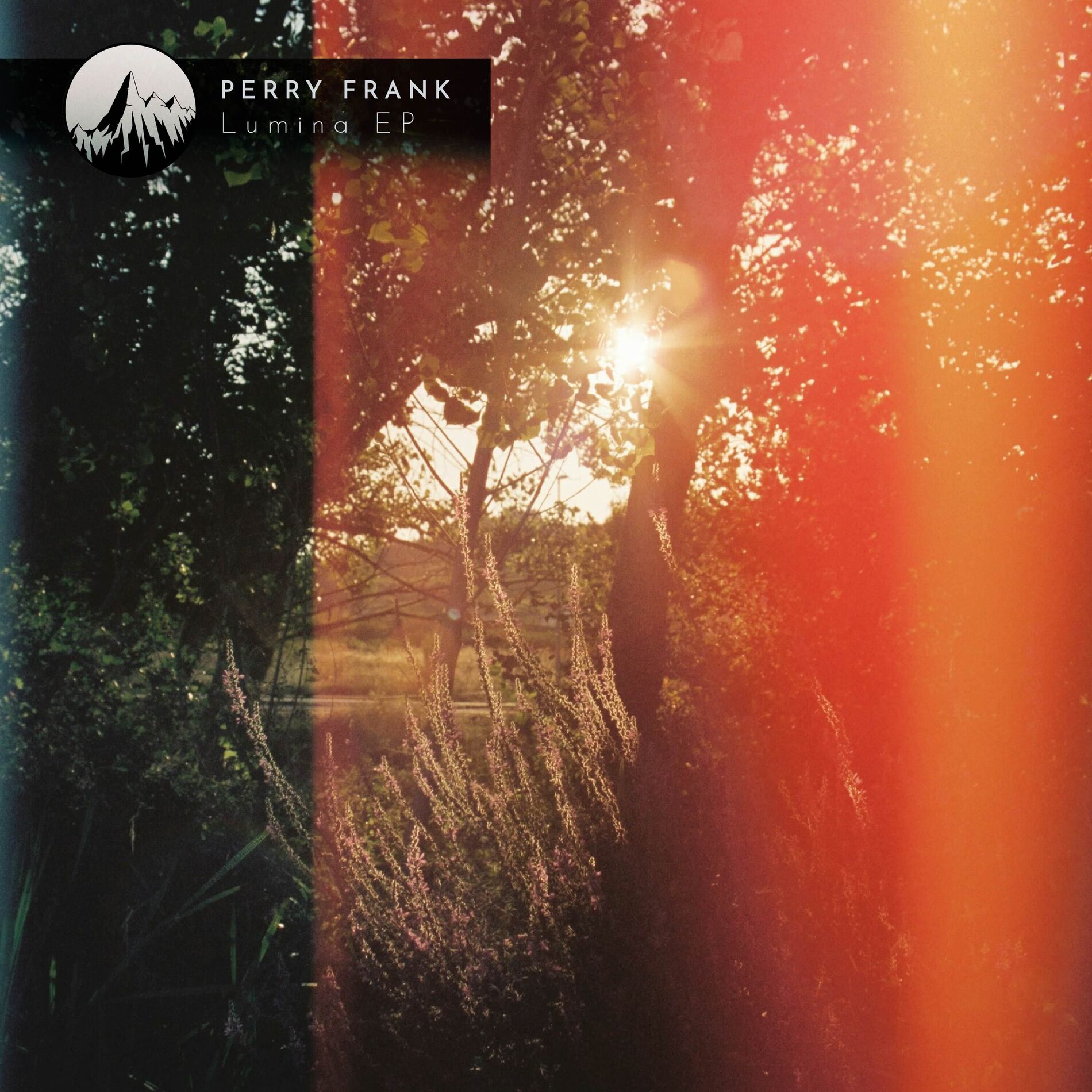 Album cover of Lumina