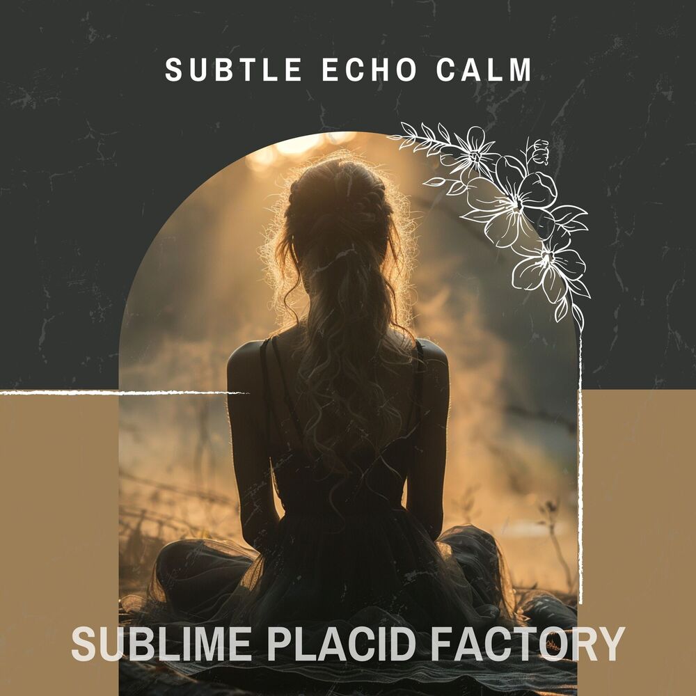 Picture of Subtle Echo Calm
