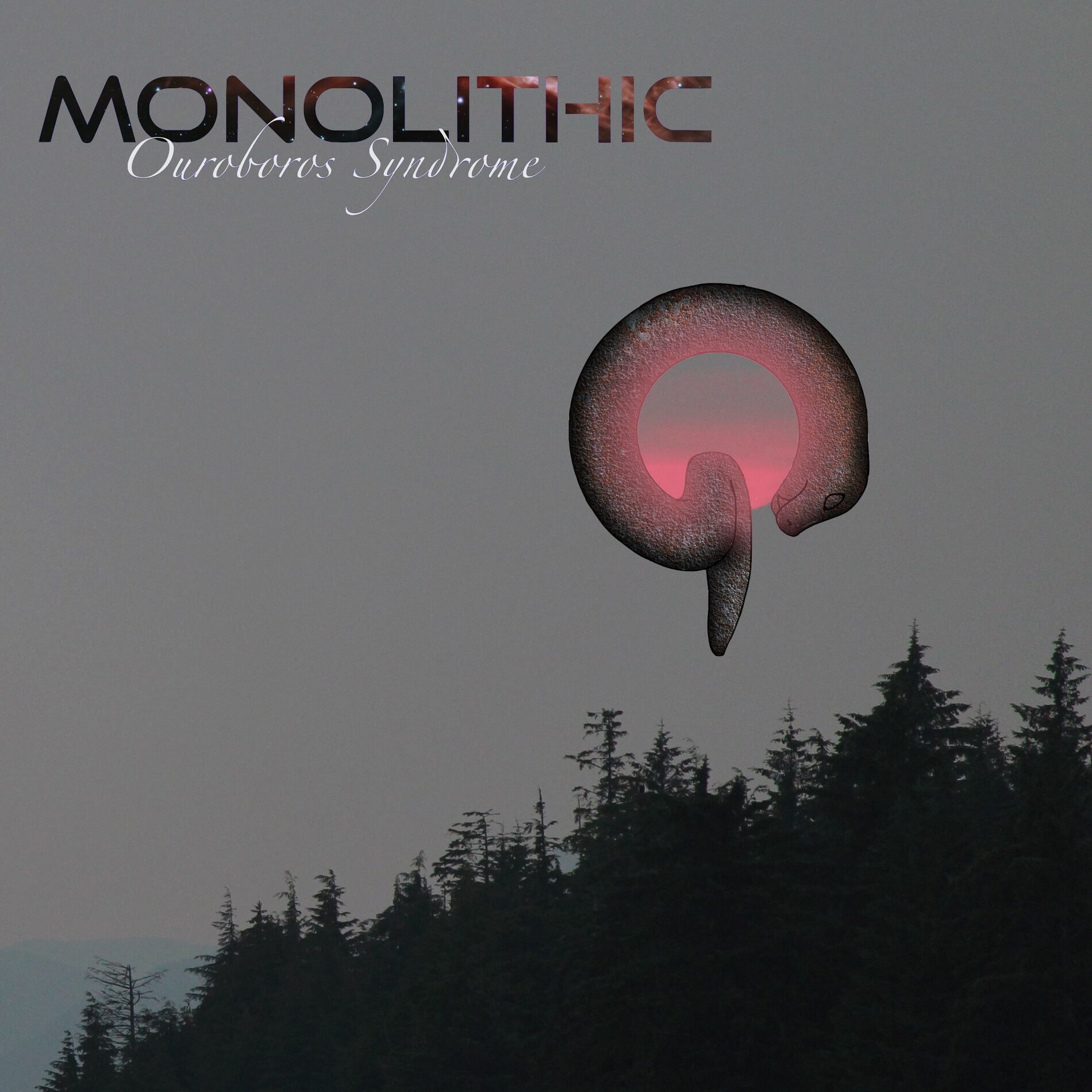 Album cover of Ouroboros Syndrome