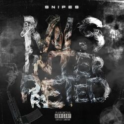 Cover of Misinterpreted