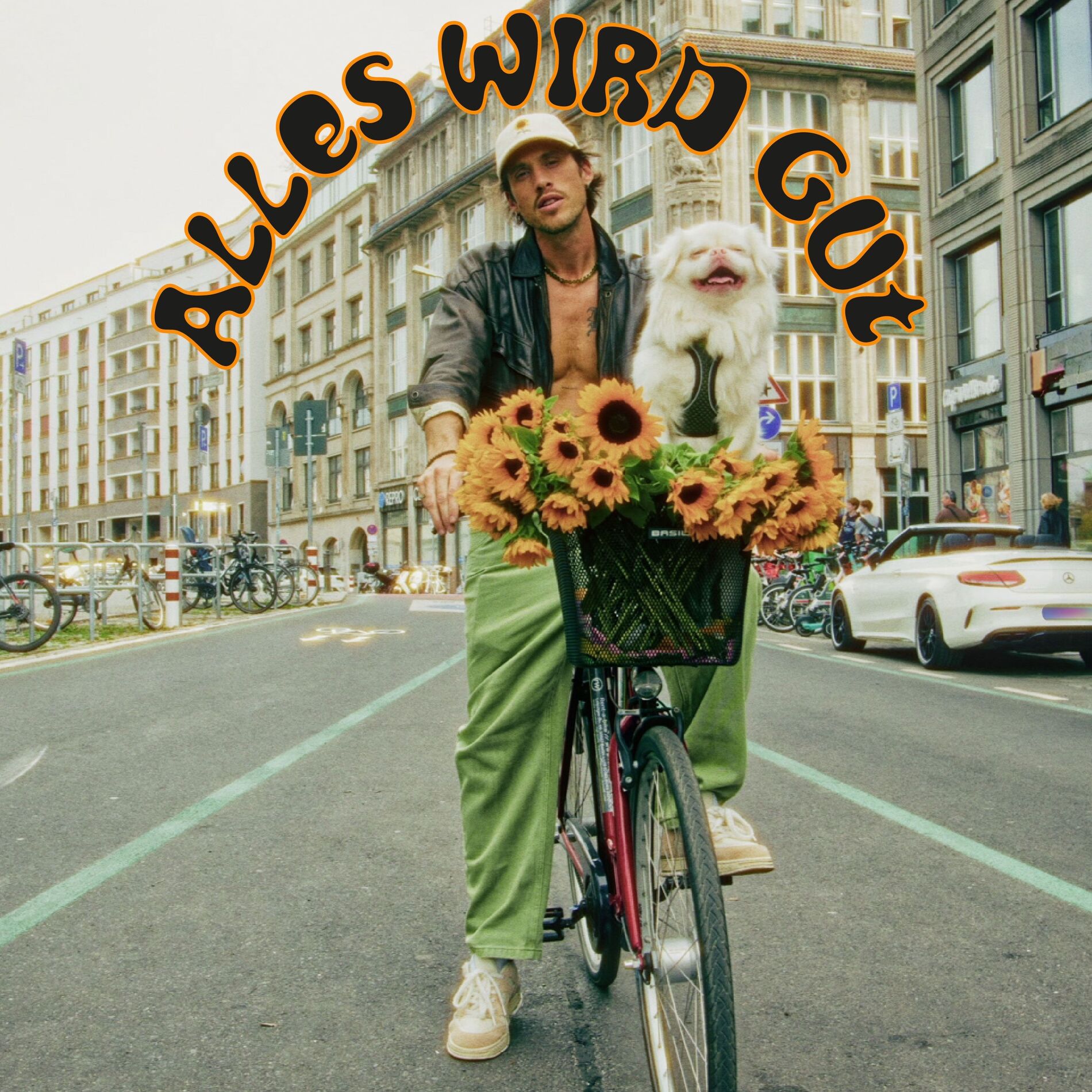 Album cover of Alles wird gut