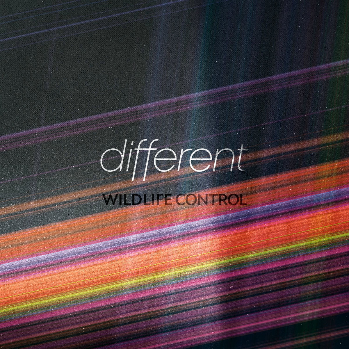 Album cover of Different