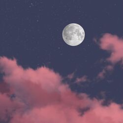 Cover of Moon