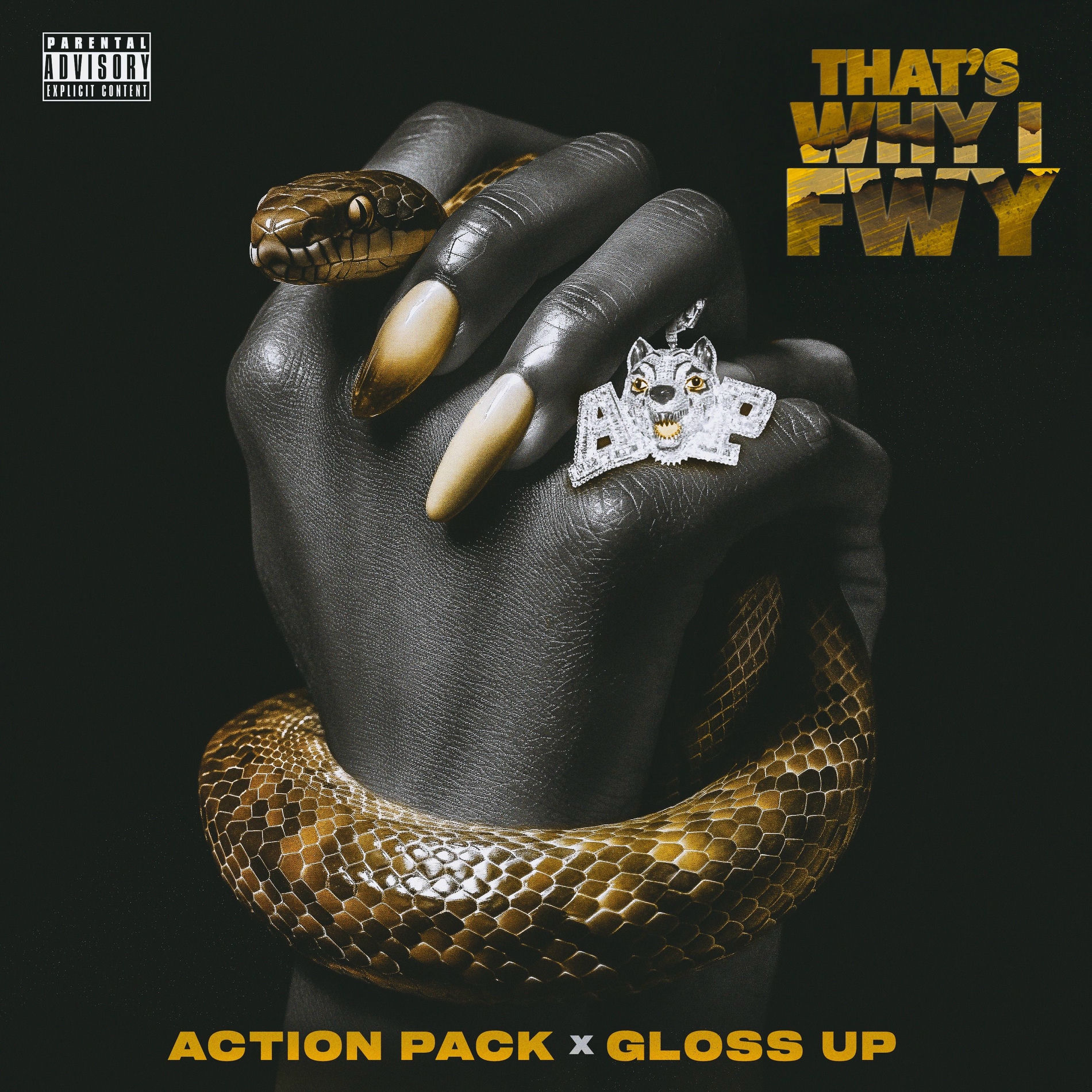 Album cover of THAT'S WHY I FWY