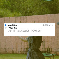 Cover of Peaches