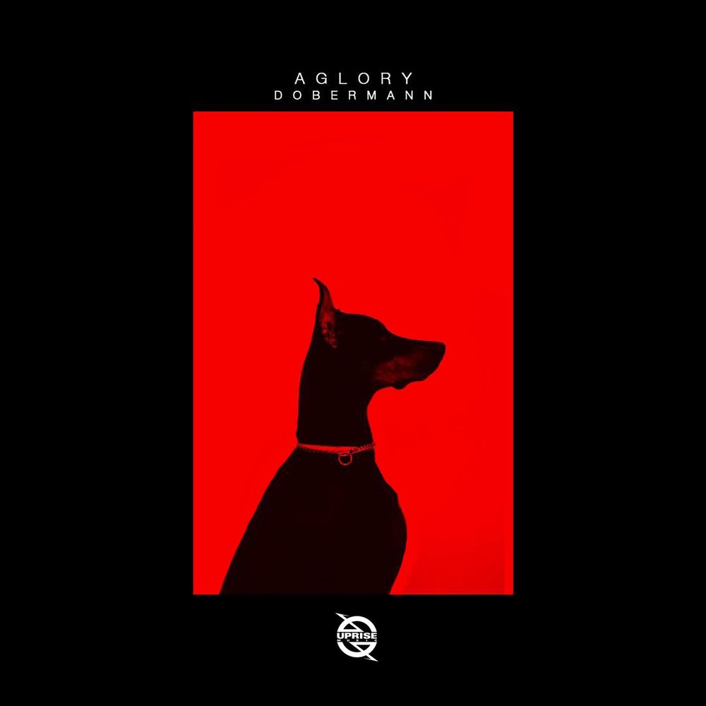 Picture of Dobermann