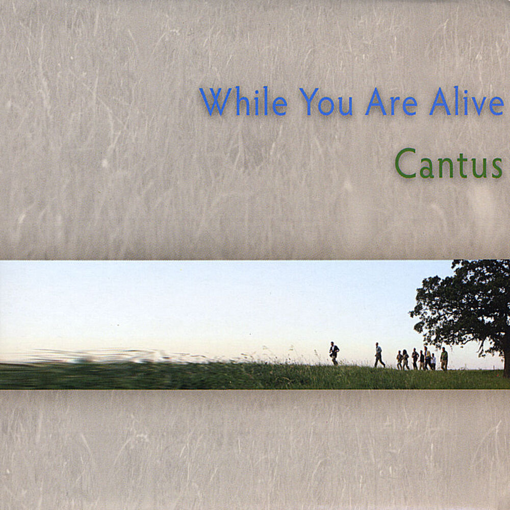 Picture of While You Are Alive