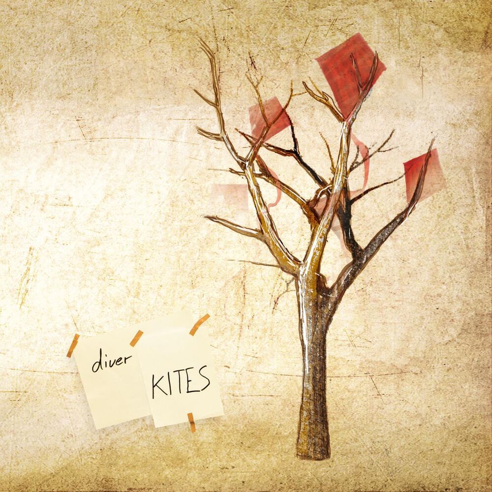 Picture of Kites