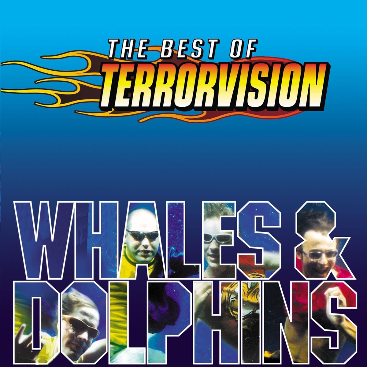 Album cover of Whales And Dolphins - The Best Of
