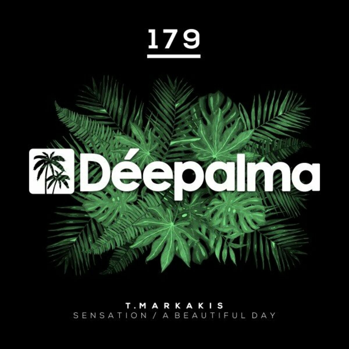 Album cover of Sensation / A Beautiful Day