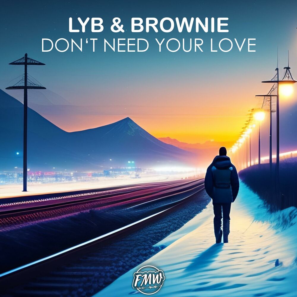 Picture of Don’t Need Your Love