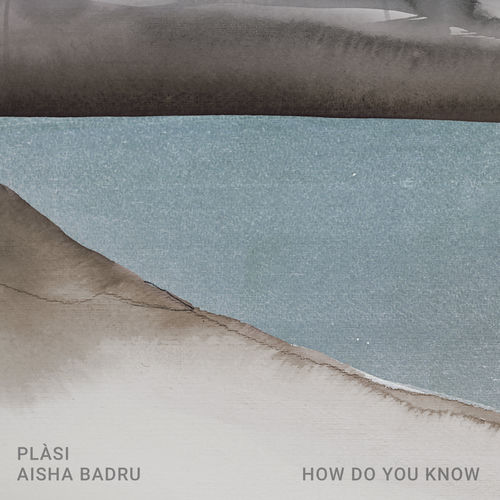 How Do You Know by Plàsi - 132 BPM