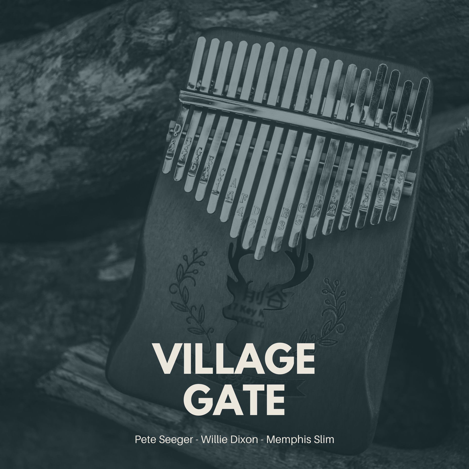 Album cover of Village Gate