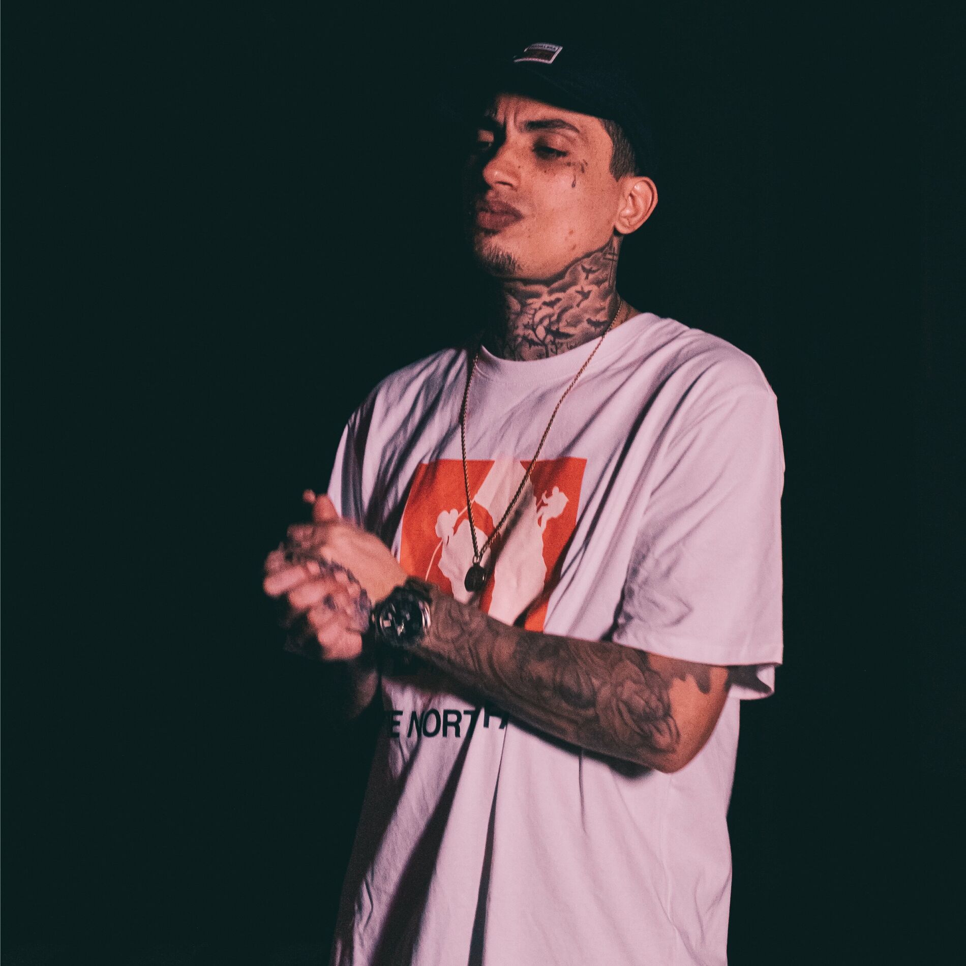 Album cover of Inatingível