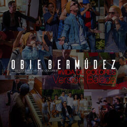 Cover of Vida de Colores (Balada)