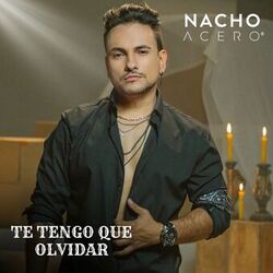 Cover of Te Tengo Que Olvidar