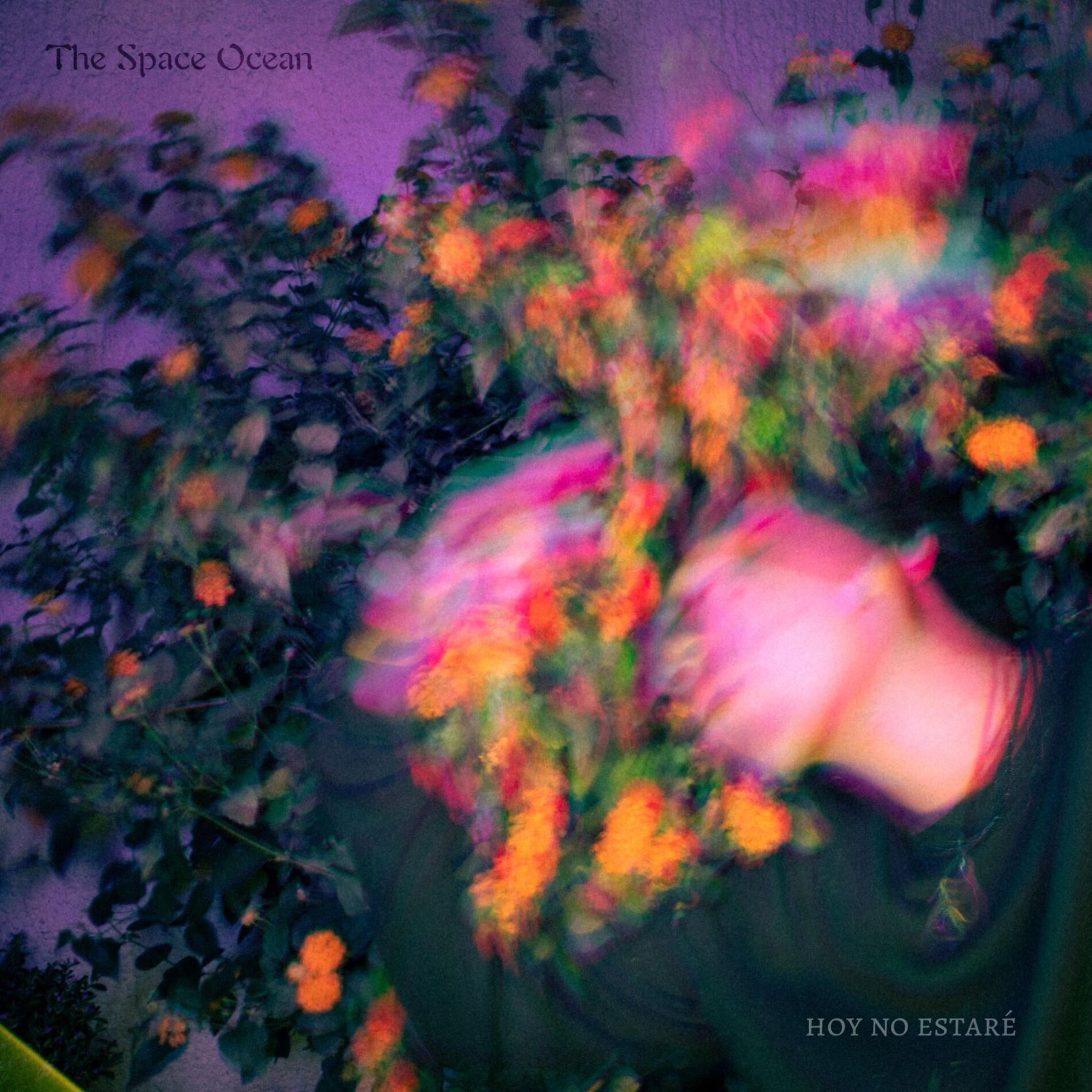 Album cover of hoy no estaré