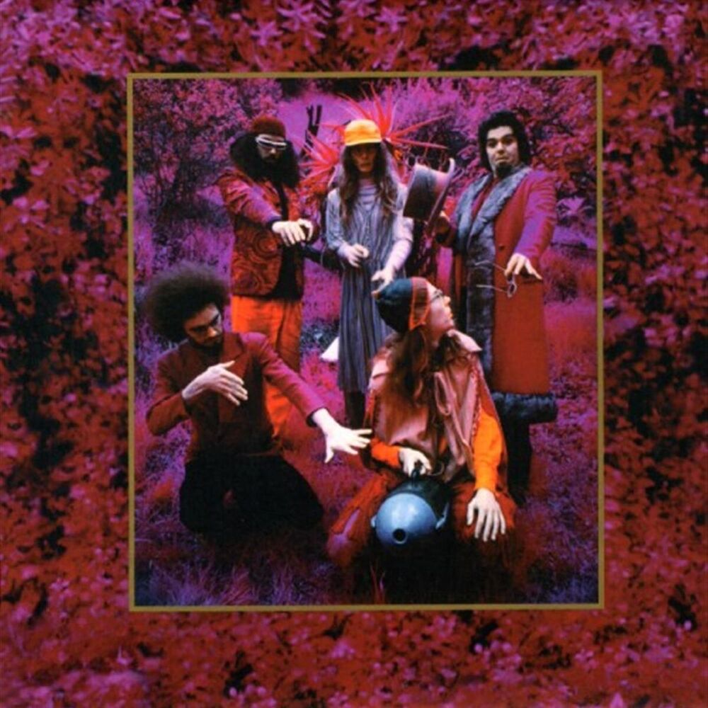 Picture of Grow Fins - Rarities 1965-1982