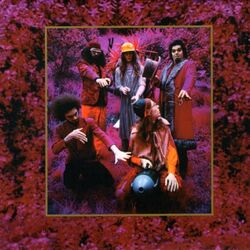 Cover of Grow Fins - Rarities 1965-1982