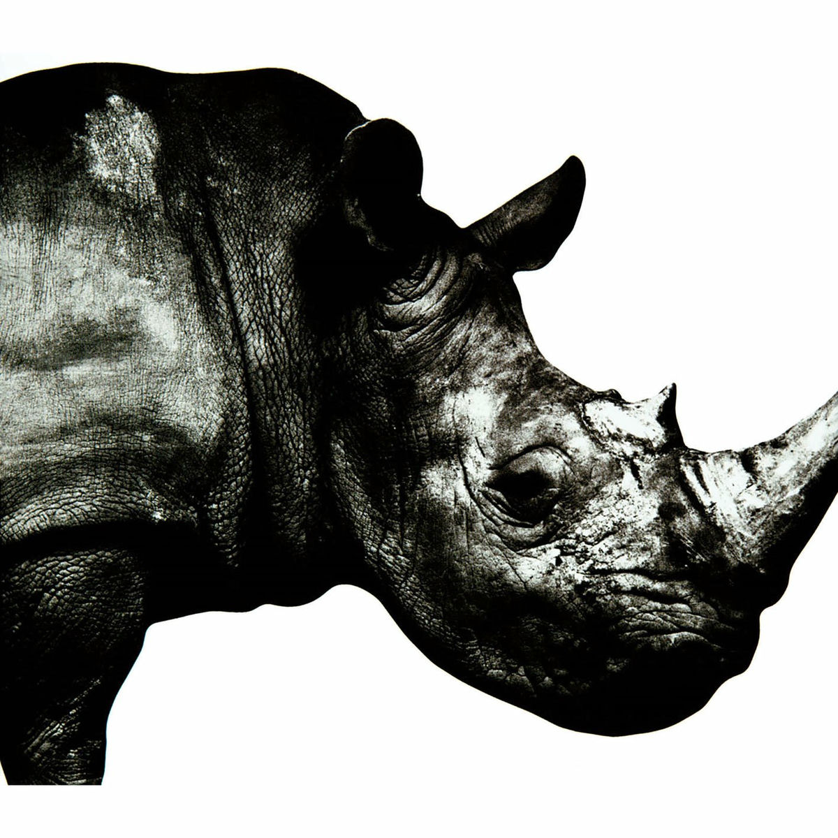 Album cover of Mr.Children 1992-1995