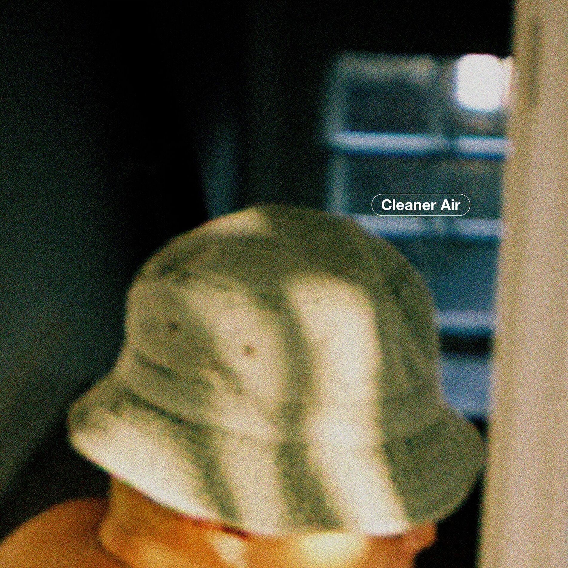 Album cover of Cleaner Air