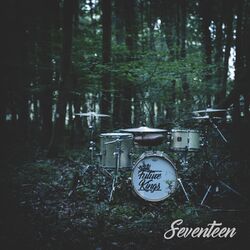 Cover of Seventeen
