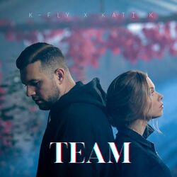Cover of Team