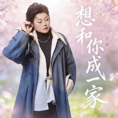 想和你成一家 (DJ版)