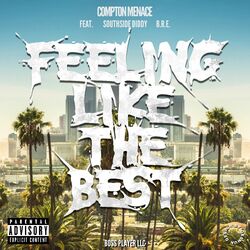 Cover of Feeling Like The Best