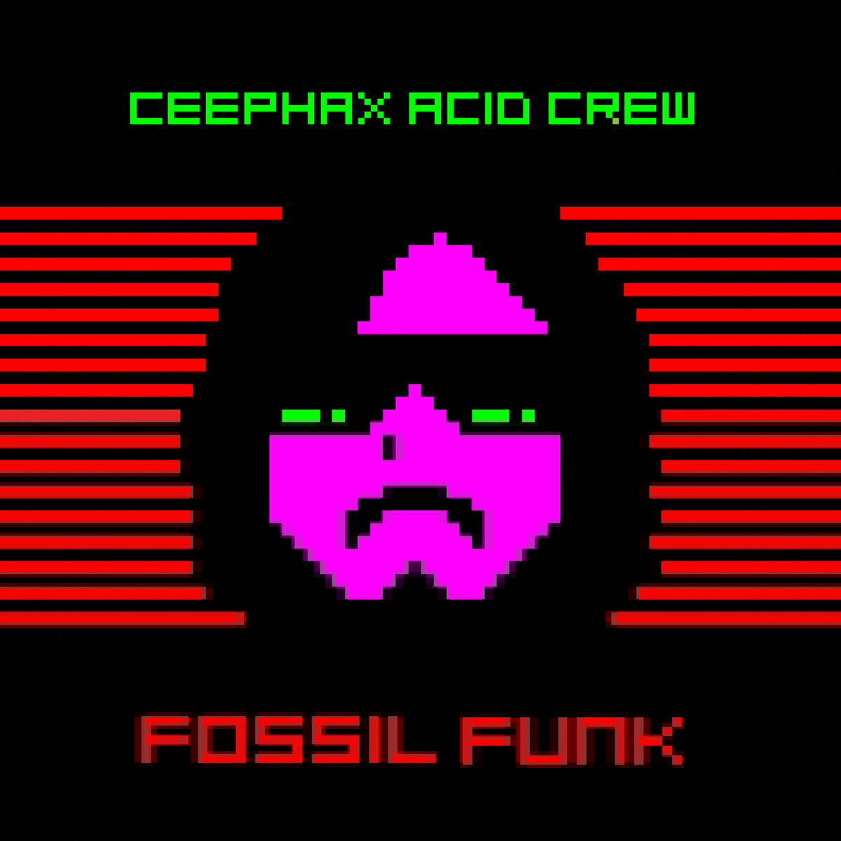 Album cover of Fossil Funk EP
