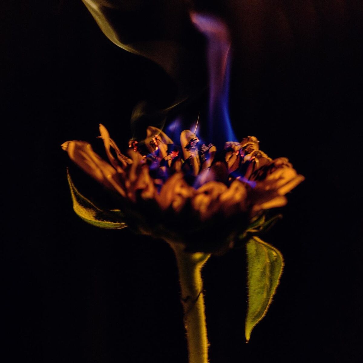 Album cover of Coisa à Toa