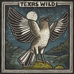 Cover of Texas Sun