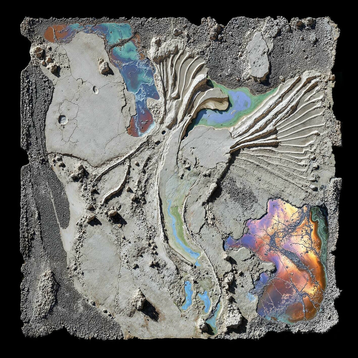 Album cover of i see dead birds