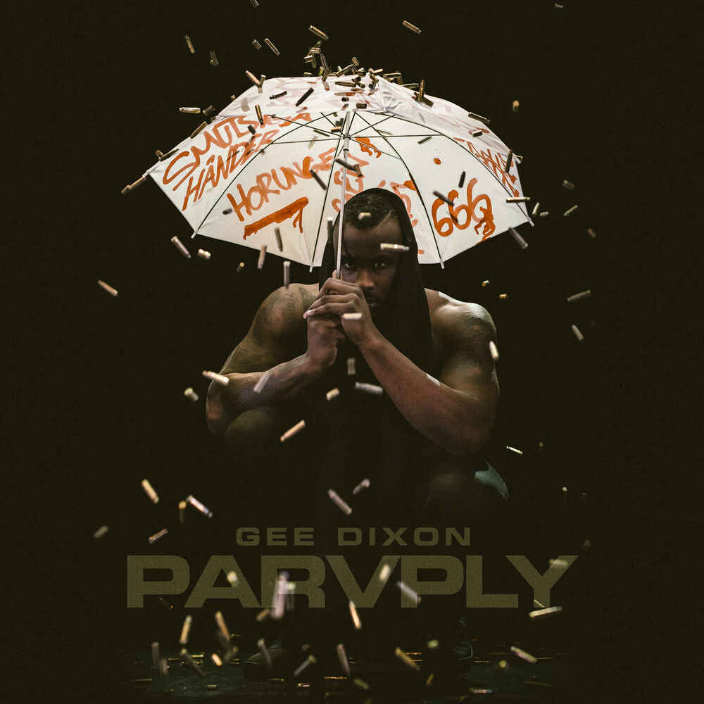 Picture of Paraply