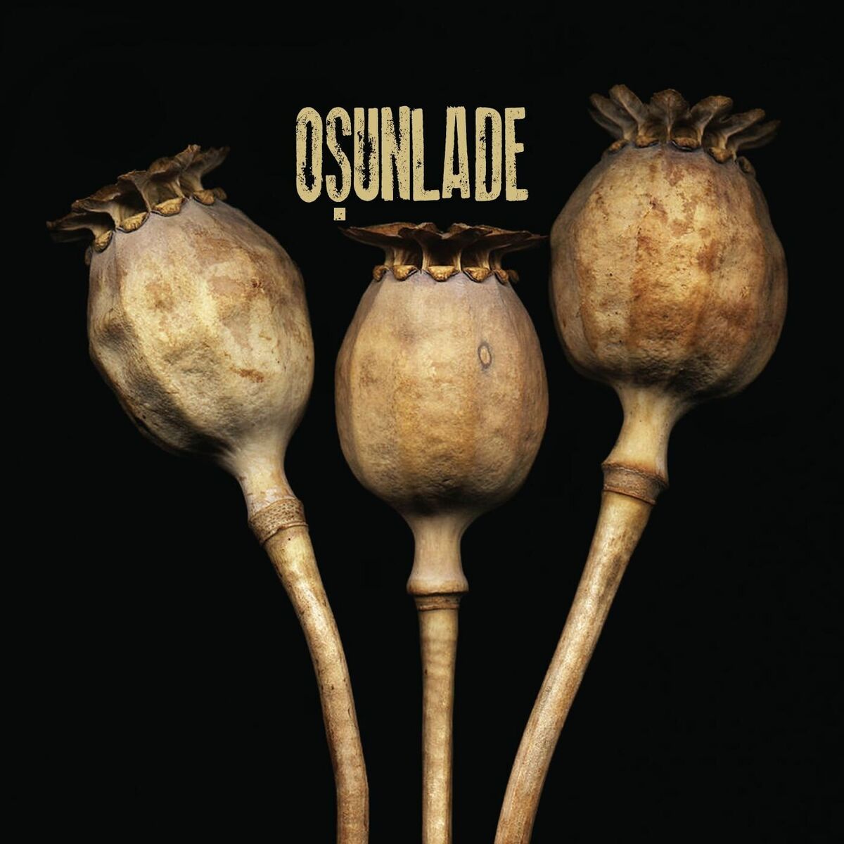 Album cover of Dionne