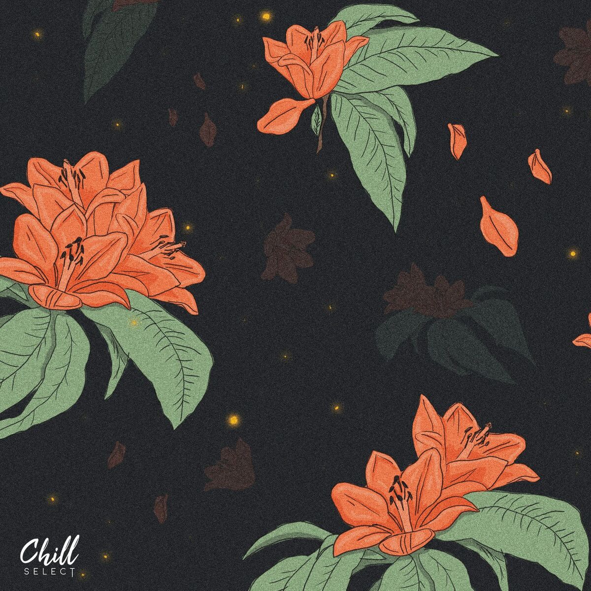 Album cover of FCMD