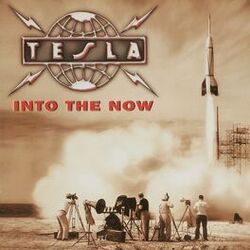 Cover of Into the Now